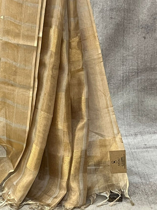 Golden Tissue Tussar Silk Saree - SRGTTSS194