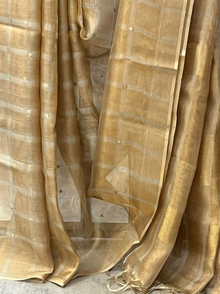 Golden Tissue Tussar Silk Saree - SRGTTSS194