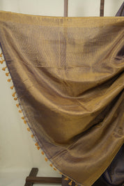 Dual Tone Blue Plain Tissue Linen Saree With Tassels - SRDTBPTLS305