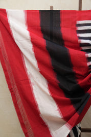 Black & White Pochampalli Cotton Ikat Saree - SRBWPCIS537