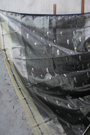 Beige Maheshwari Tissue Saree - SRBMTS389