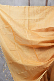 Peach-Orange Maheshwari Tissue Saree - SRPOMTS434