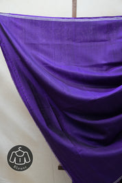 Purple Rajkot Patola Silk Saree - SRPRPSS406
