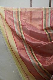 Multicolor Maheshwari Tissue Saree - SRMMTS544