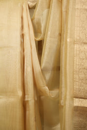 Yellow Tissue Banarasi Silk Saree - SRYTBSS101