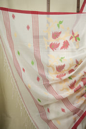 White Bengal Mul Cotton Saree - SRWBMCS089