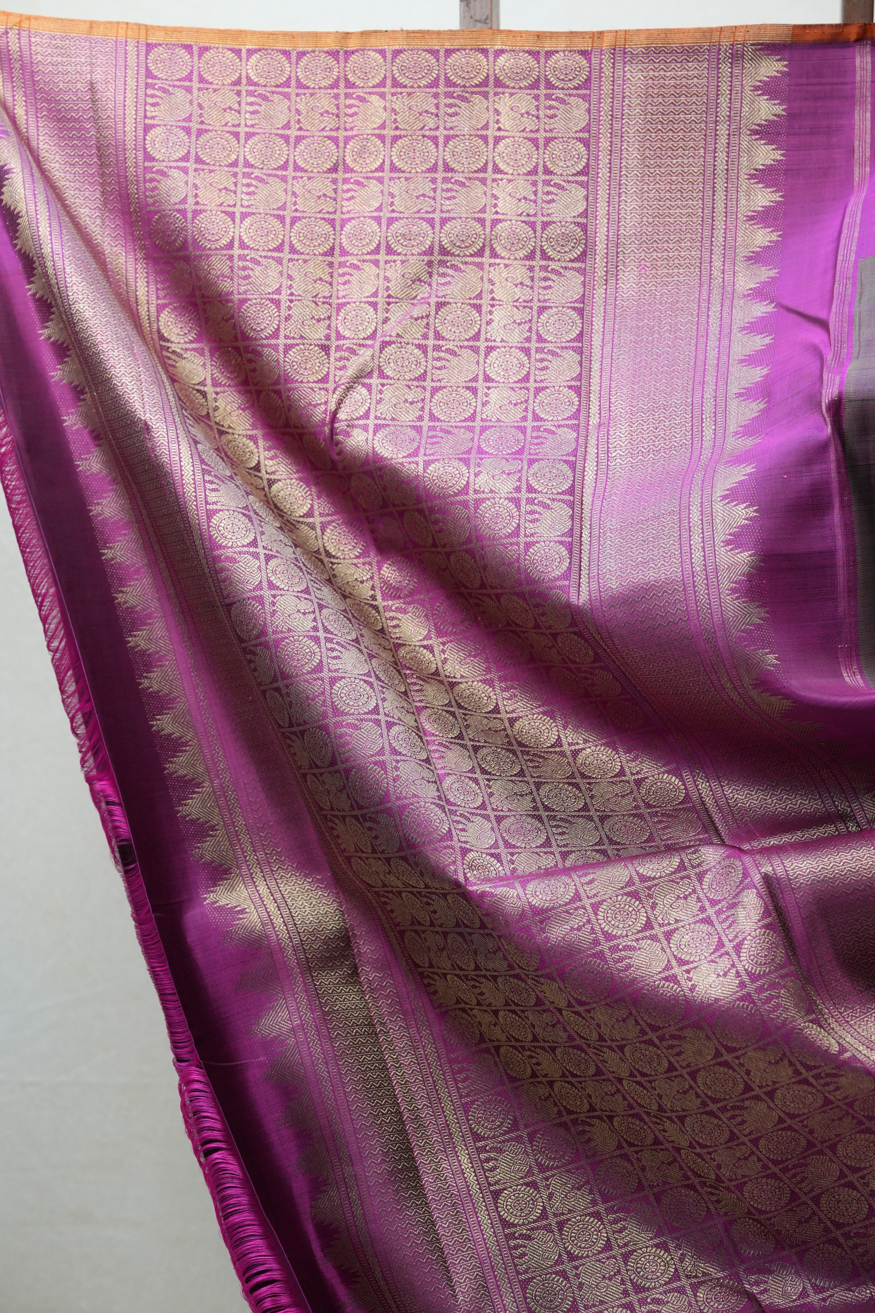 Amrapalli Kanjeevaram Silk Saree - Saavari - SSAKSS67