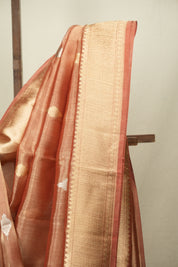 Peach Tissue Banarasi Silk Saree - SRPTBSS109