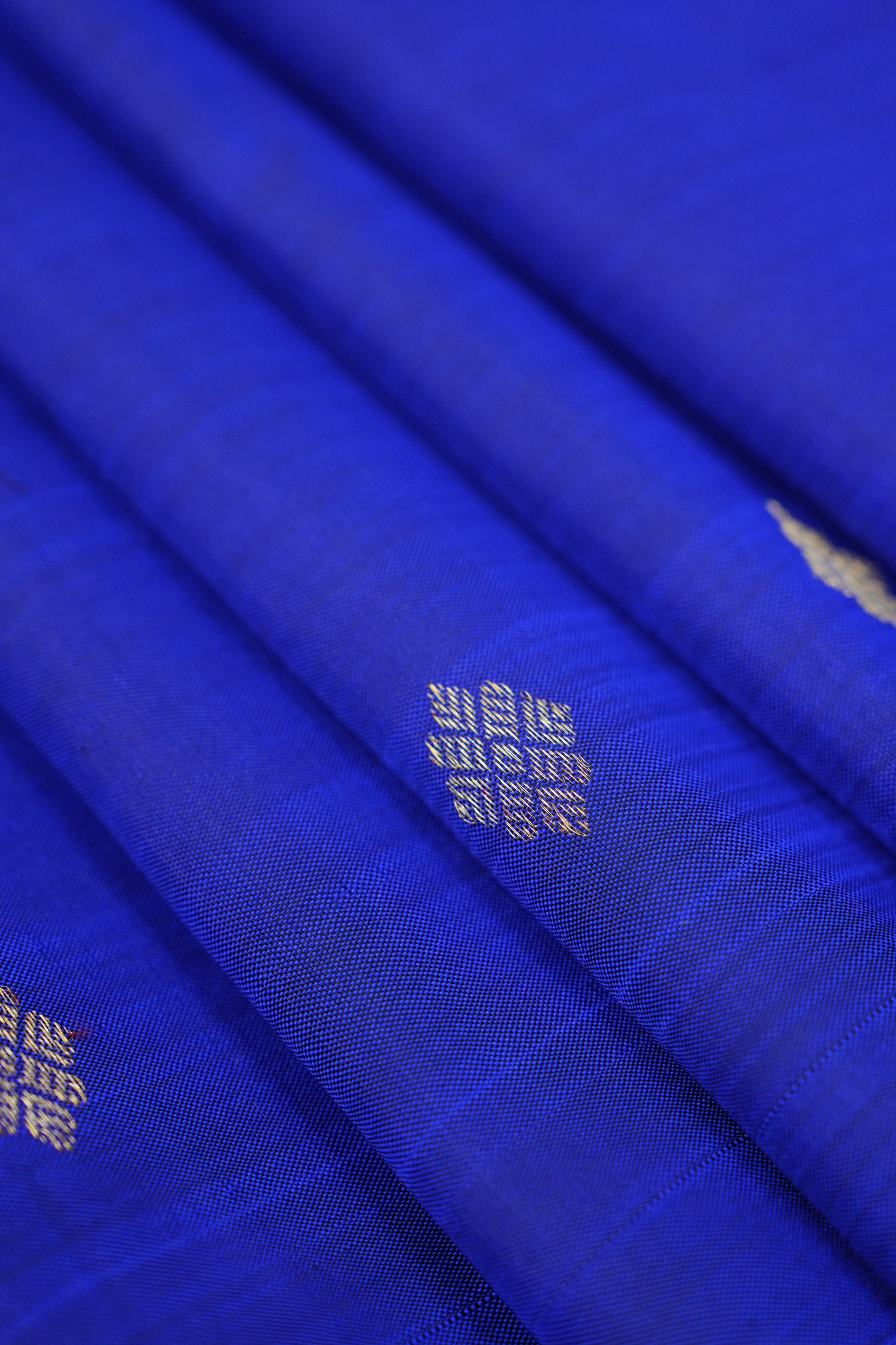 Neelambari Kanjeevaram Silk Saree - Saavari - SSNKSS60