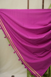 Light Green HBP Cotton Saree - SRLGCS3275