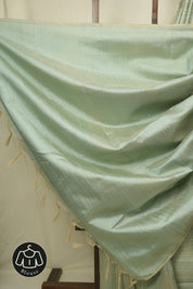 Mint Green Raw Silk Saree - SRMGRSS1023