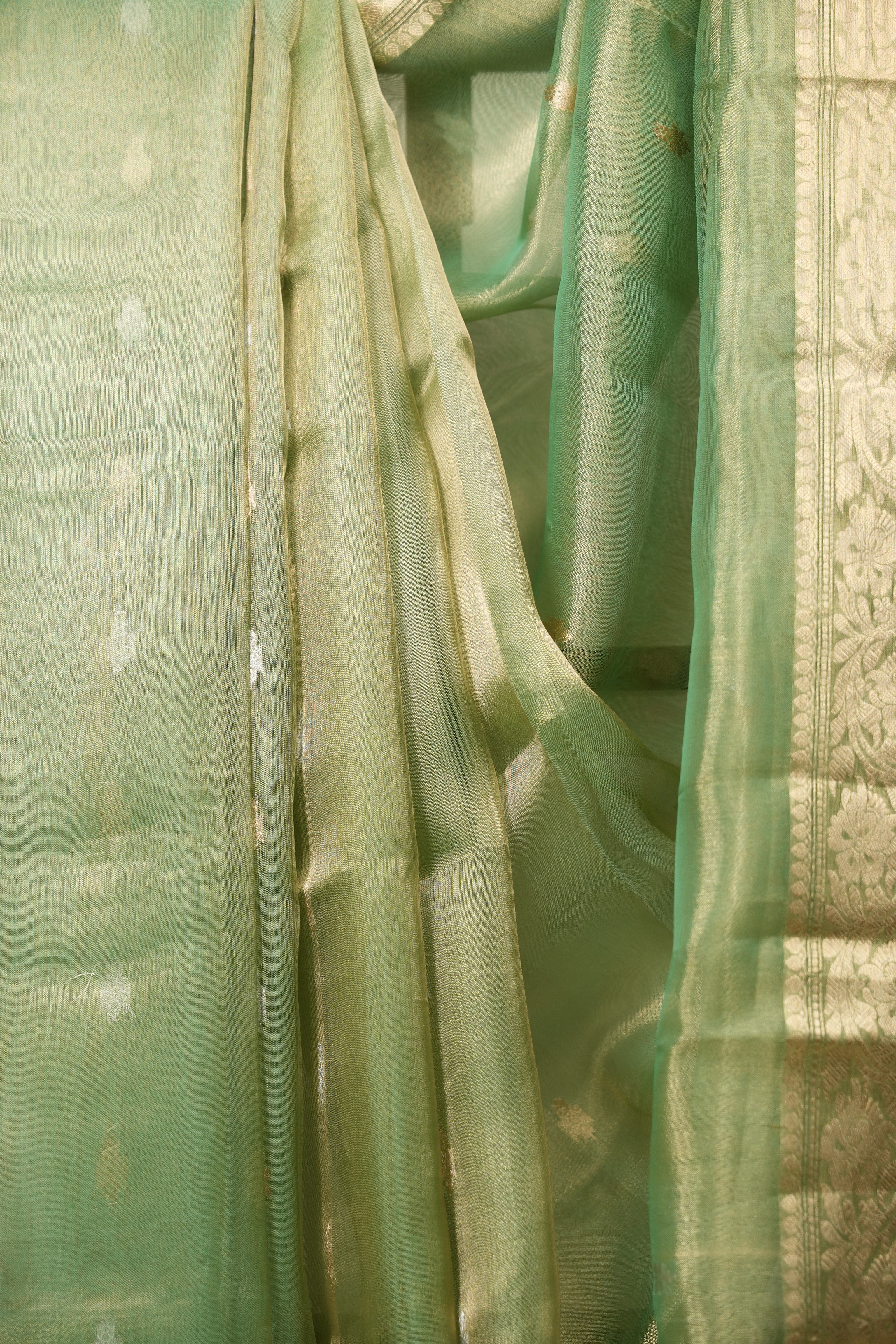 Pista Tissue Banarasi Silk Saree - SRPTBSS100