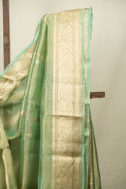Pista Tissue Banarasi Silk Saree - SRPTBSS100