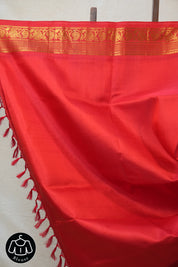 Aqua Blue Gadwal Silk Saree - SRABGSS436