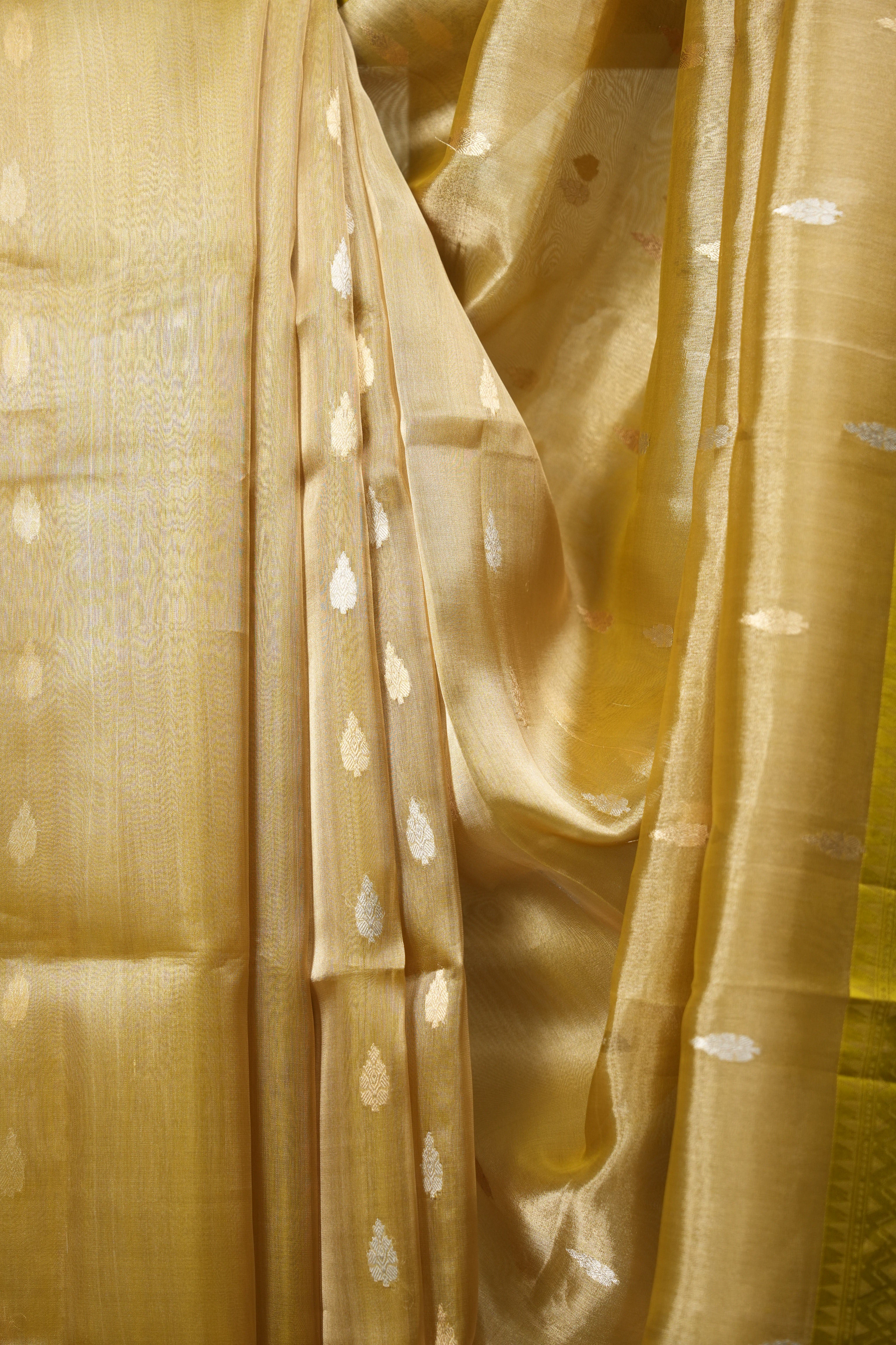 Gold Tissue Banarasi Silk Saree - SRGTBSS98