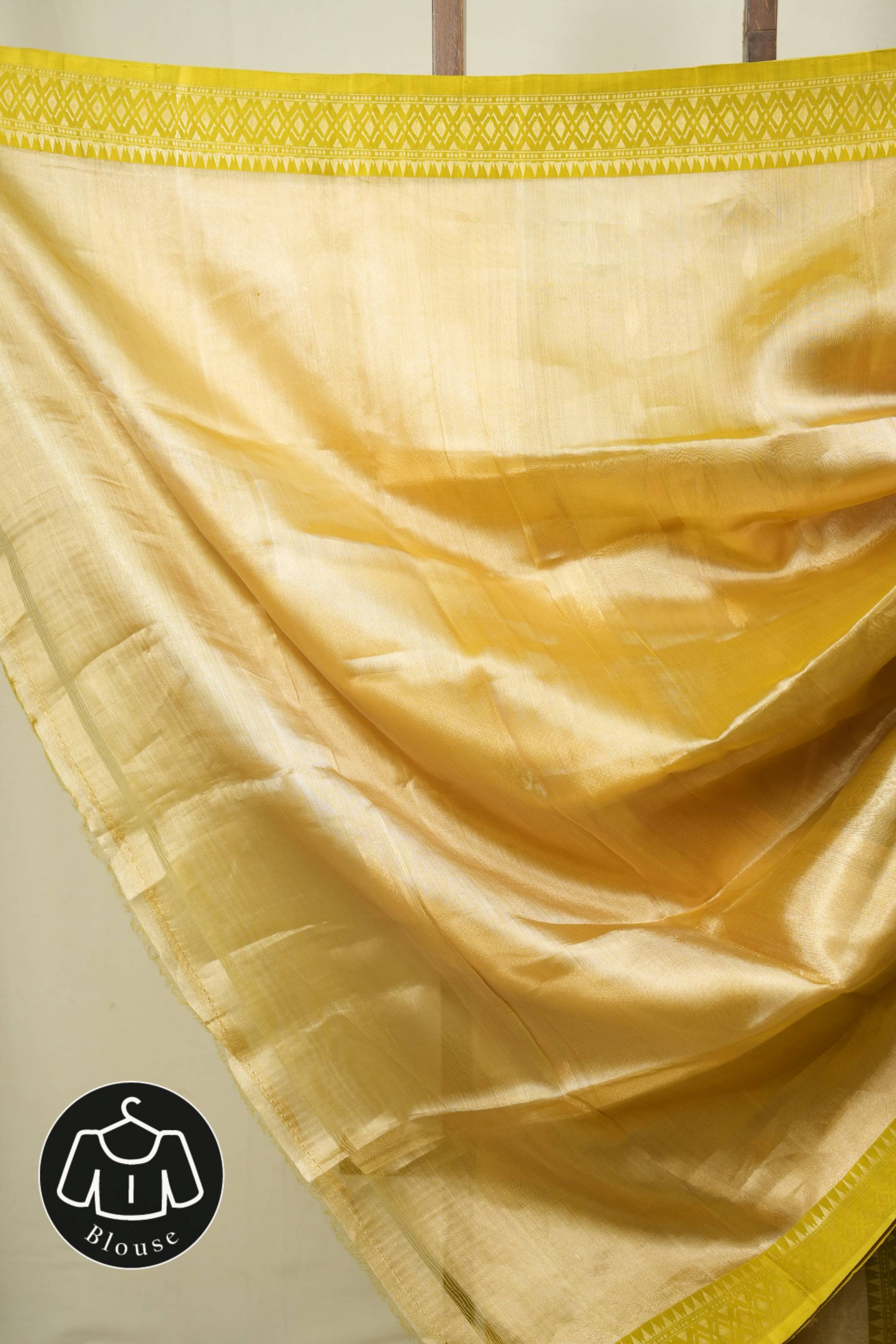 Gold Tissue Banarasi Silk Saree - SRGTBSS98