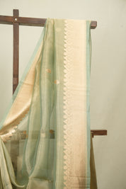 Pista Green Tissue Banarasi Silk Saree - SRPGTBSS106
