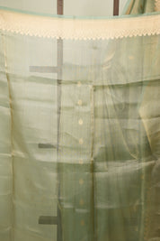 Pista Green Tissue Banarasi Silk Saree - SRPGTBSS106