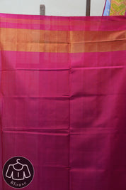 Blue Rajkot Patola Silk Saree - SRBRPSS457