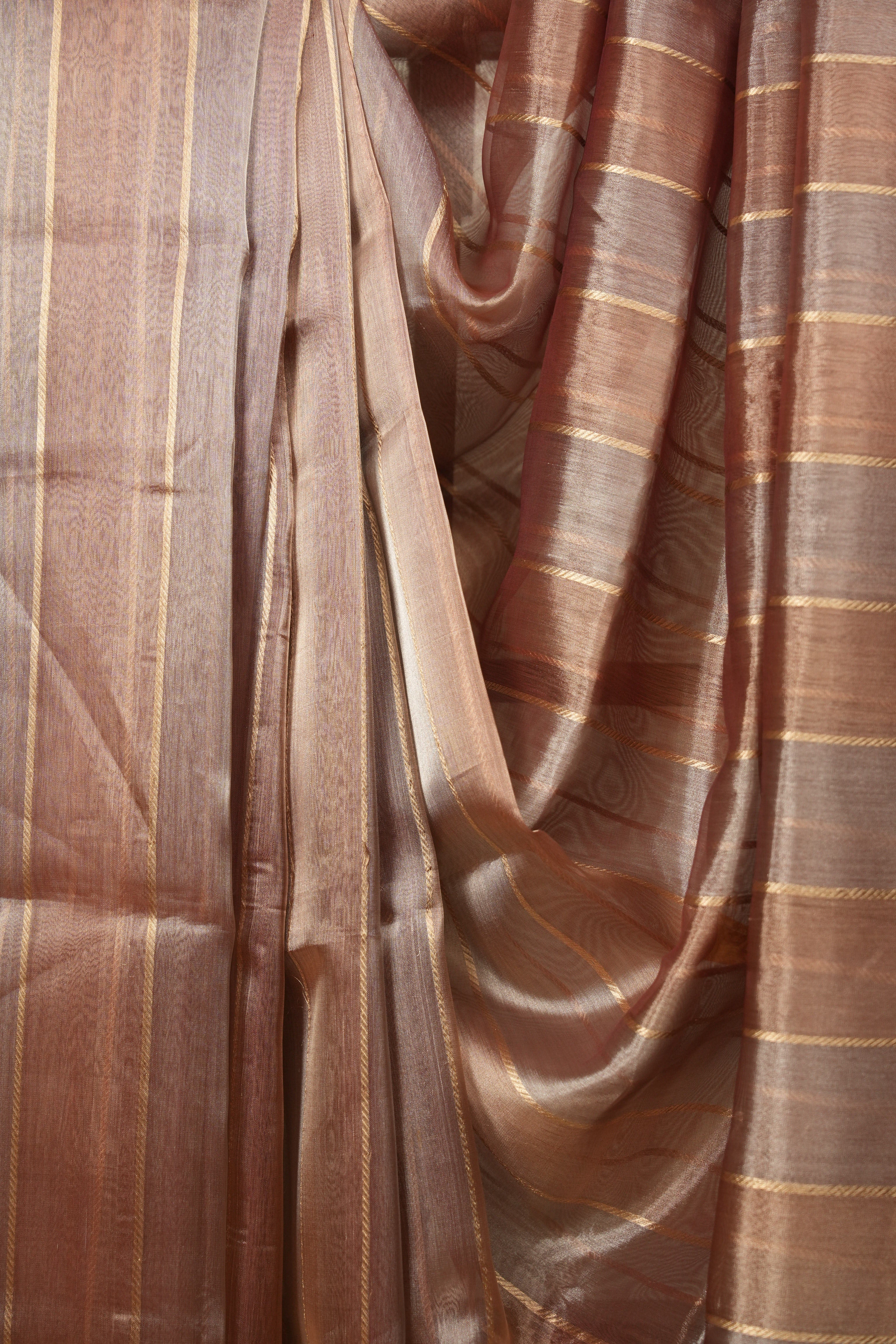Brown Tissue Banarasi Silk Saree - SRBTBSS102