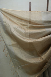 Beige Maheshwari Tissue Saree - SRBMTS554