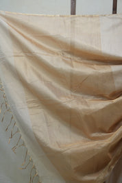 Beige Maheshwari Tissue Saree - SRBMTS563