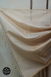 Beige Maheshwari Tissue Saree - SRBMTS563