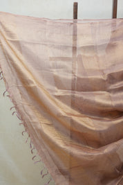 Golden Purple Tissue Tussar Silk Saree - SRGPTTSS361