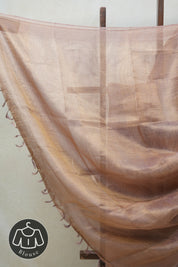 Golden Purple Tissue Tussar Silk Saree - SRGPTTSS361