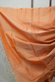 Orange Maheshwari Tissue Saree - SROMTS558