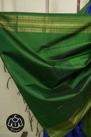 Royal Blue Raw Silk Saree - SRRBRSS1043