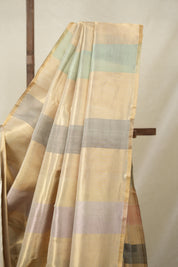 Multi Colour Maheshwari Tissue Saree - SRMCMTS679