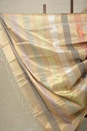 Multi Colour Maheshwari Tissue Saree - SRMCMTS679