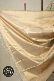 Multi Colour Maheshwari Tissue Saree - SRMCMTS679