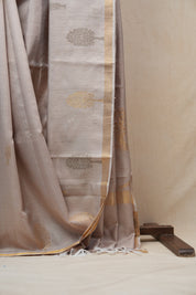 Beige Raw Silk Saree - SRBRSS719