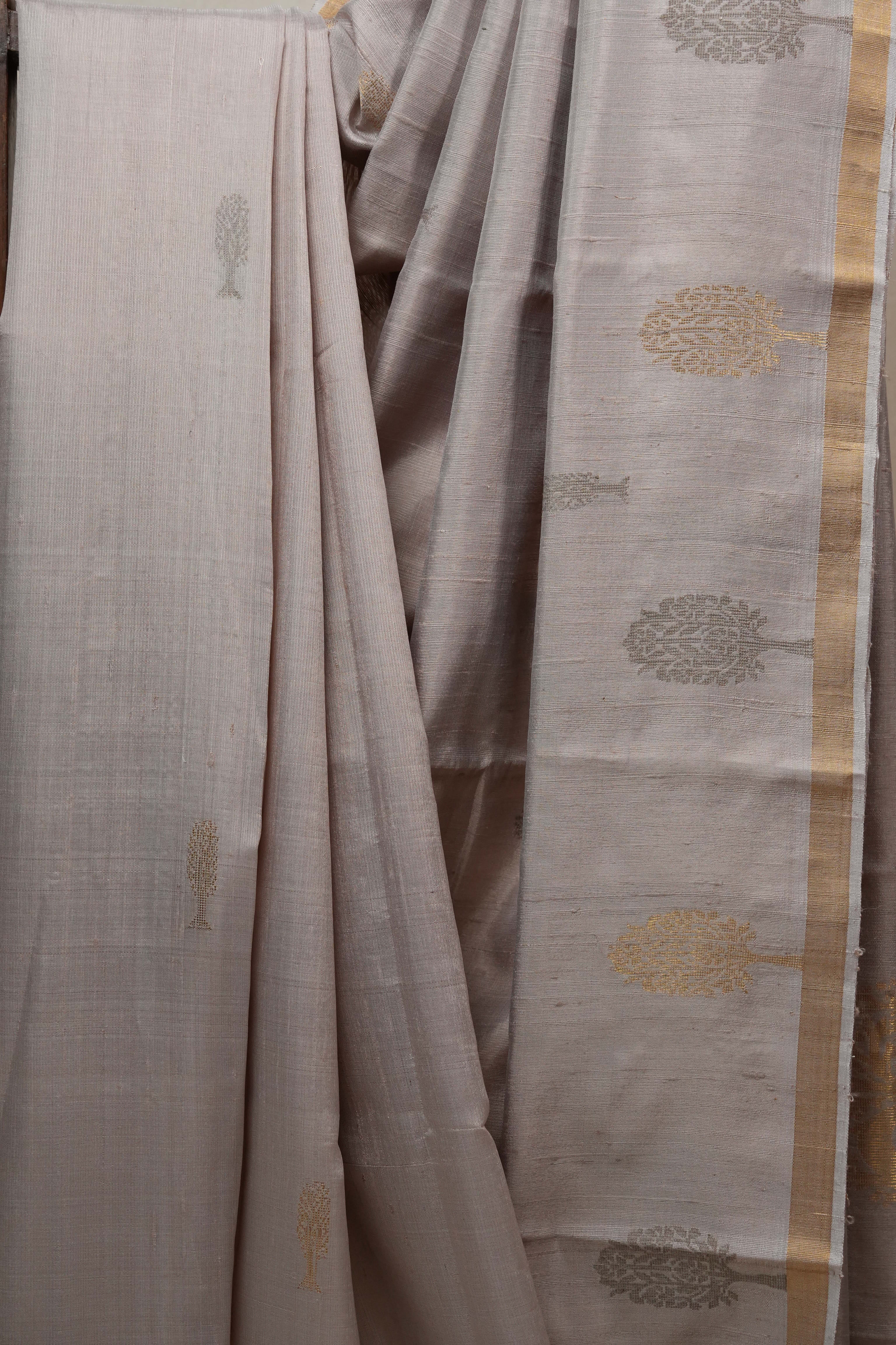 Beige Raw Silk Saree - SRBRSS719