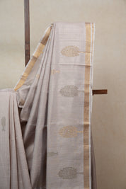 Beige Raw Silk Saree - SRBRSS719