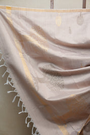 Beige Raw Silk Saree - SRBRSS719