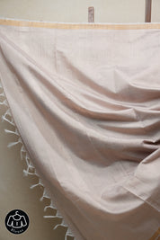 Beige Raw Silk Saree - SRBRSS719