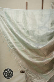 Mint Green Silver Tissue Tussar Silk Saree - SRMGSTTSS561