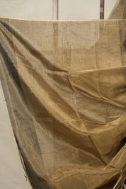 Black Gold Maheshwari Tissue Saree - SRBGMTS702