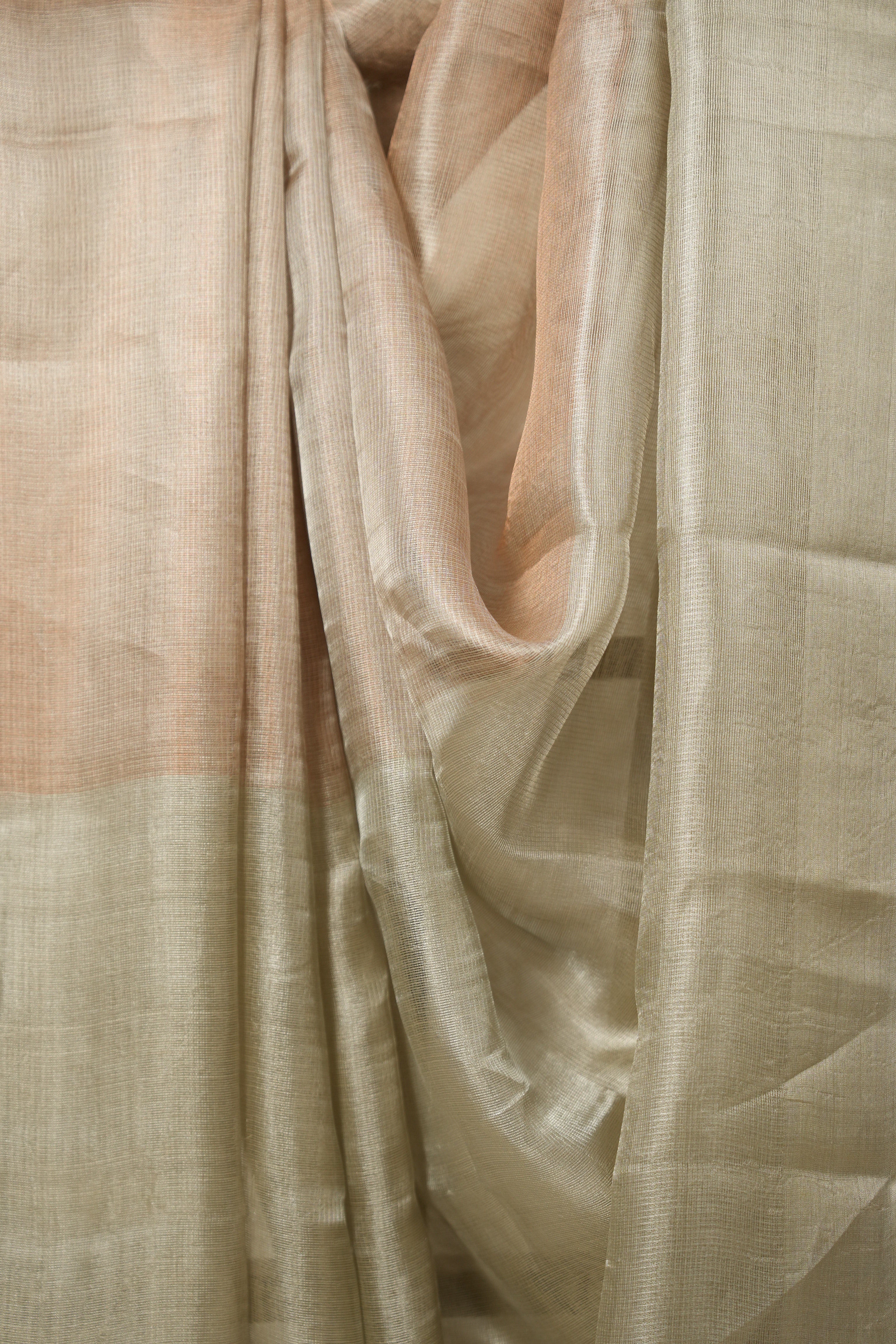 Silver Wheat Tissue Tussar Silk Saree - SRSWTTSS555