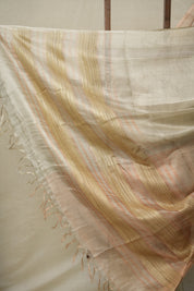 Silver Wheat Tissue Tussar Silk Saree - SRSWTTSS555