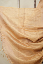 Light Pink Gold Maheshwari Tissue Saree - SRLPGMTS703