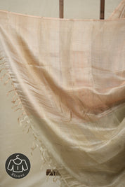 Silver Wheat Tissue Tussar Silk Saree - SRSWTTSS555