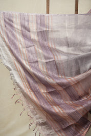 Silver Lavender Tissue Tussar Silk Saree - SRSLTTSS553