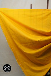 Black Pochampalli Cotton Ikat Saree - SRBPCIS431