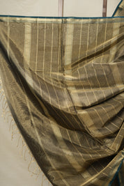 Dual Tone Green  Maheshwari Tissue Saree - SRDTGMT693