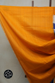 Blue Pochampalli Cotton Ikat Saree - SRBPCIS464