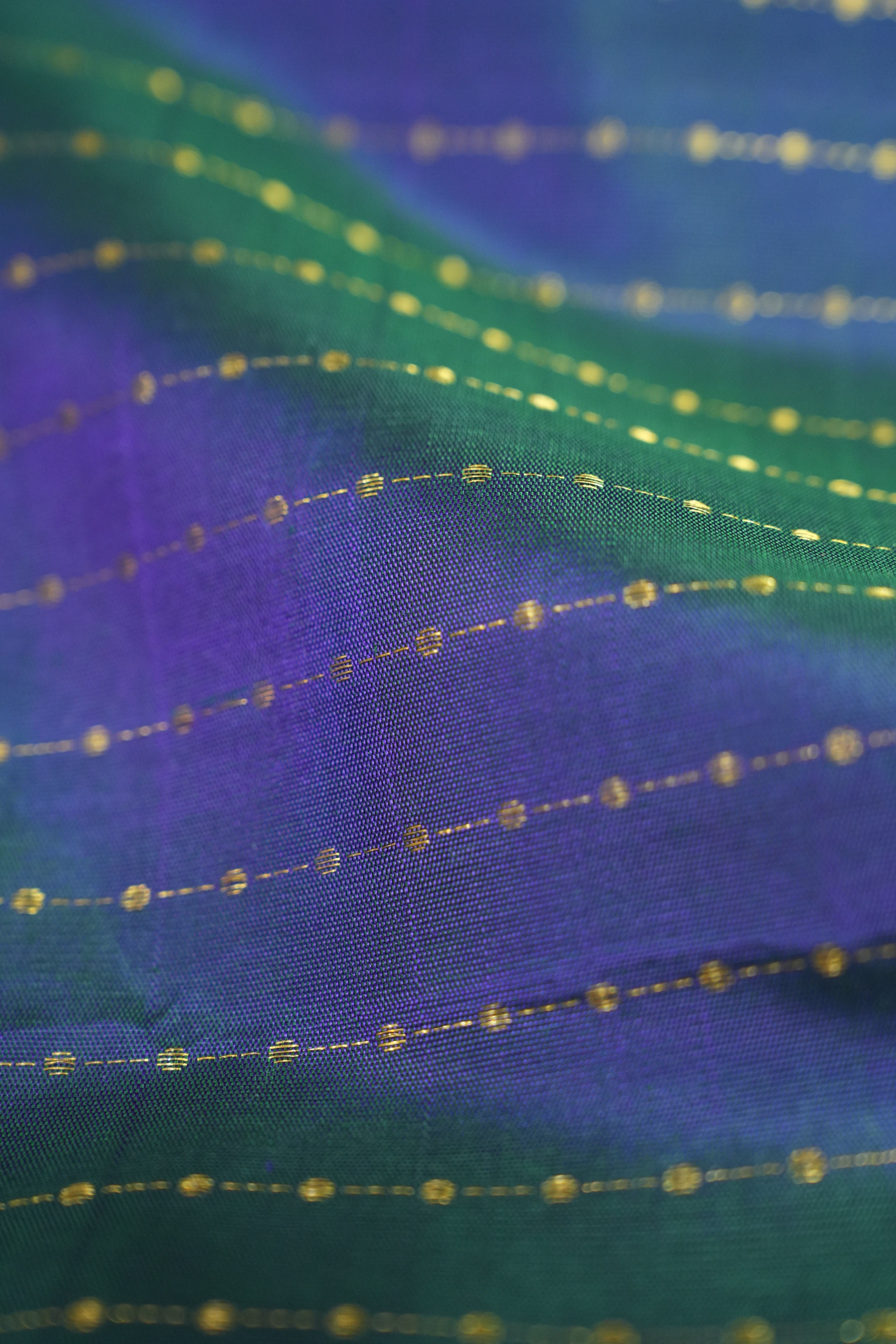 Neelravi Kanjeevaram Silk Saree - Saavari - SSNKSS20